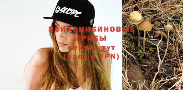 трава Новокубанск