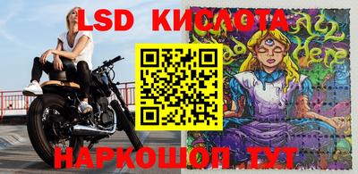 шишки Можайск