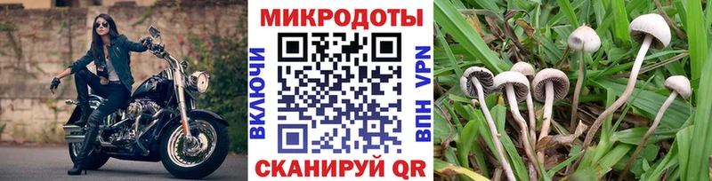 Псилоцибиновые грибы Psilocybe  как найти закладки  Владикавказ 