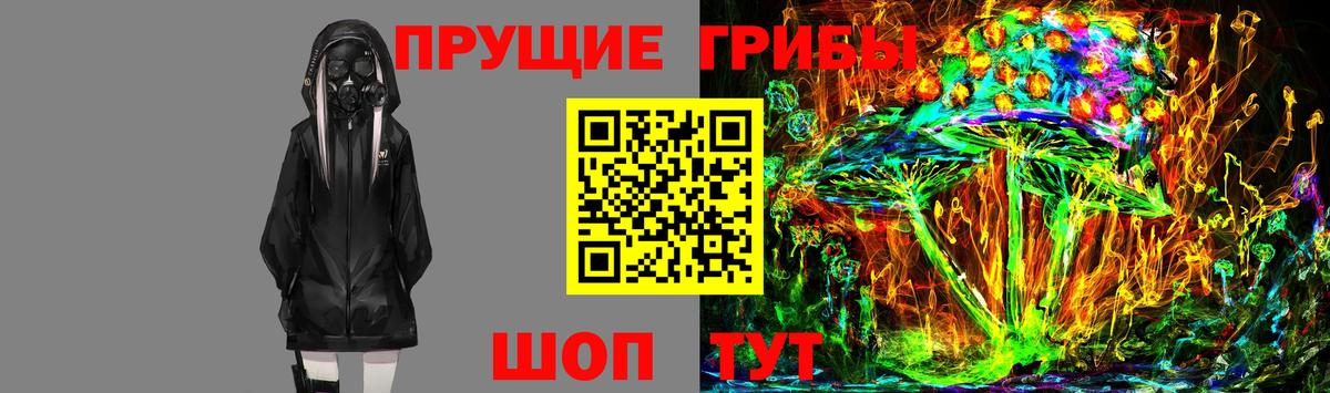Псилоцибиновые грибы MAGIC MUSHROOMS Владикавказ