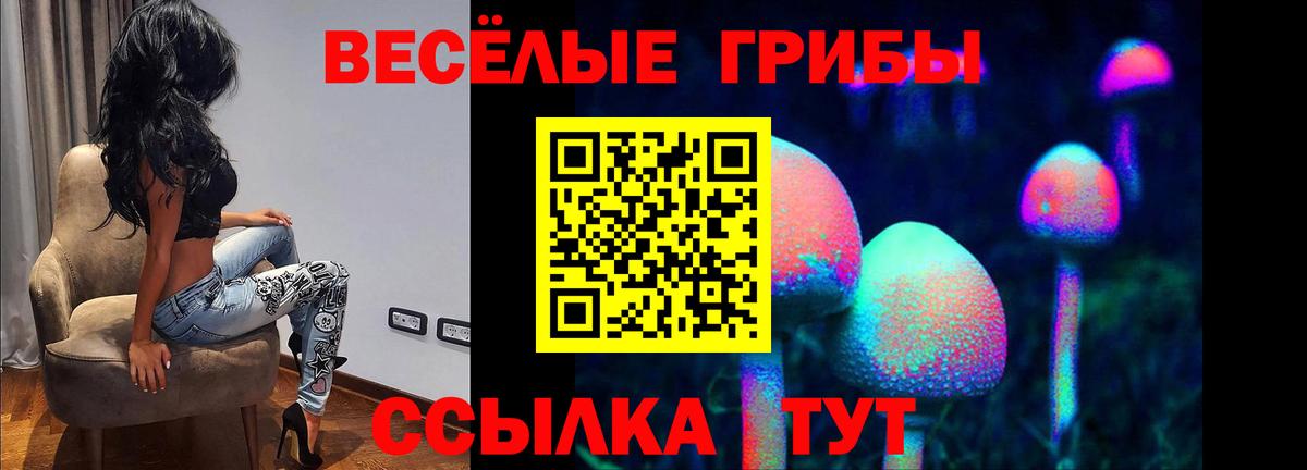 Псилоцибиновые грибы Psilocybe  Вход с VPN  Владикавказ 