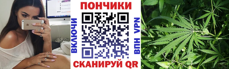 где найти наркотики  Владикавказ  даркнет клад  Бошки марихуана тримм 
